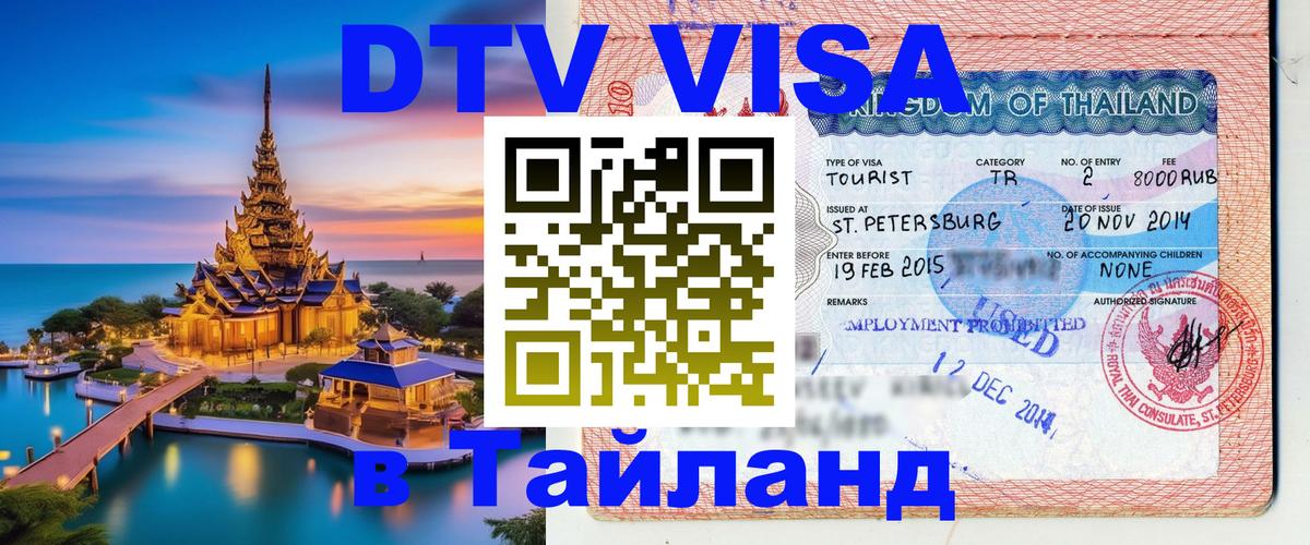 Сколько стоит DTV виза — актуальные цены, оформление даже без документов - 19.11.2025 